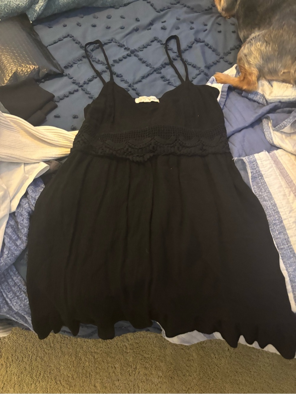 Rewind Black Dress with Navy Blue Lined Bodice